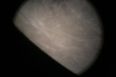 img_7334.jpg